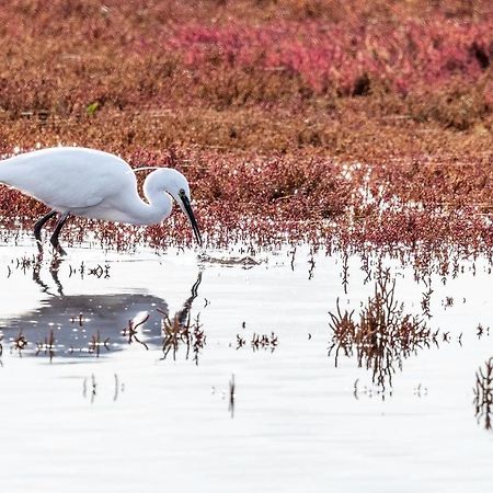 Heerenkeet 4 Pers Appartement Aan De Oosterschelde Kerkwerve Bagian luar foto
